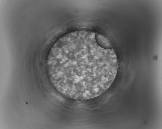 X0000111900913200908171235