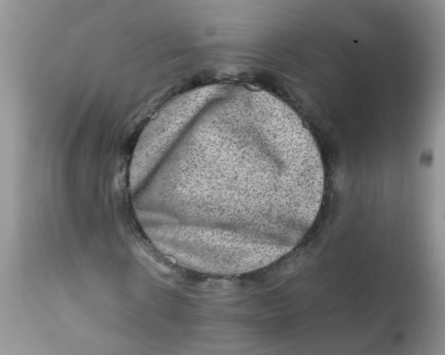 X0000111900914200908171235