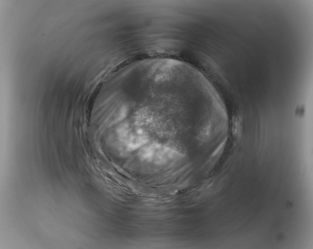 X0000111900915200908171235