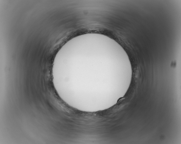 X0000111900916200908171235