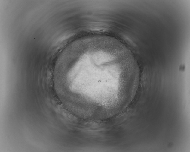 X0000111900917200908171235