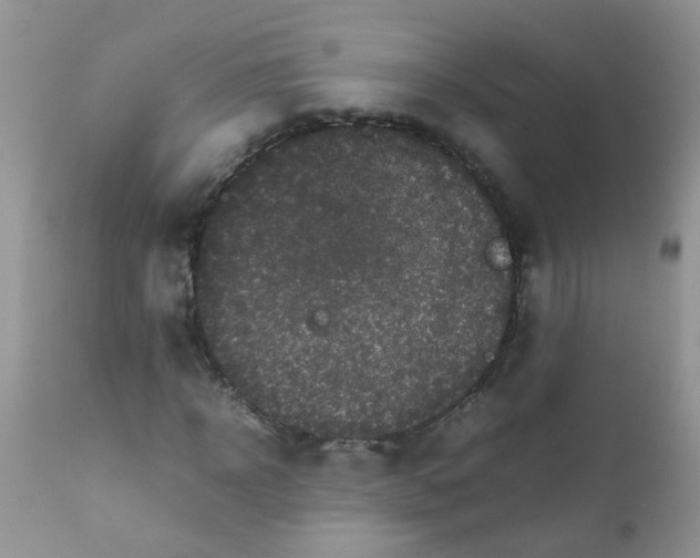 X0000111900918200908171235