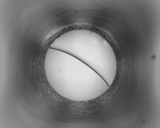 X0000111900919200908171235