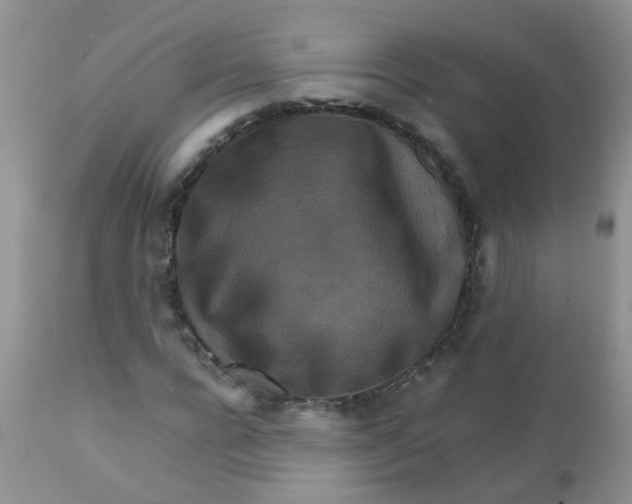 X0000111900920200908171235