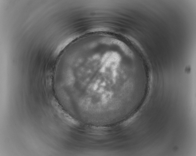 X0000111900921200908171235