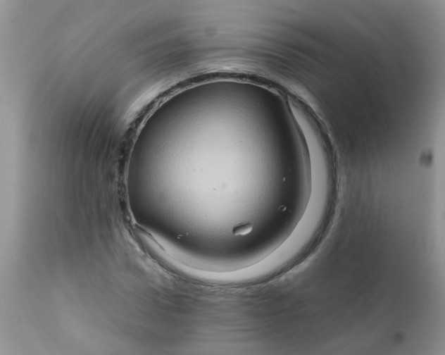 X0000111900922200908171235