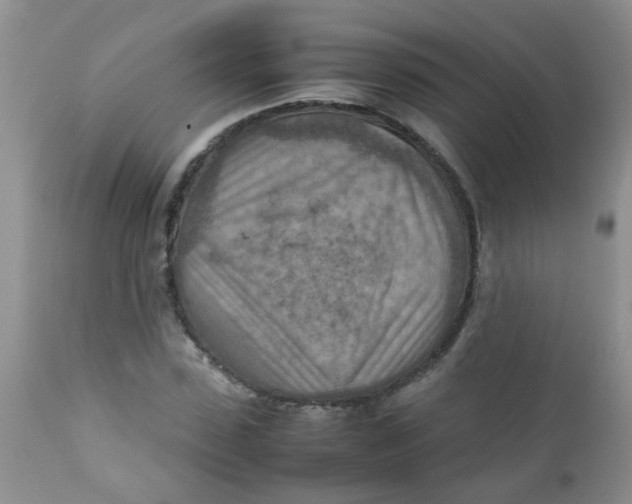 X0000111900923200908171235