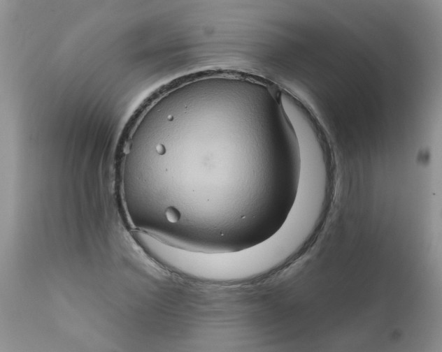 X0000111900924200908171235