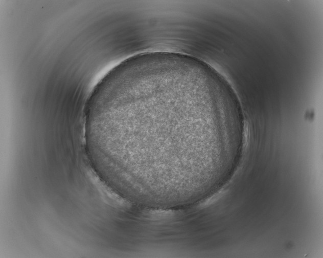 X0000111900925200908171235