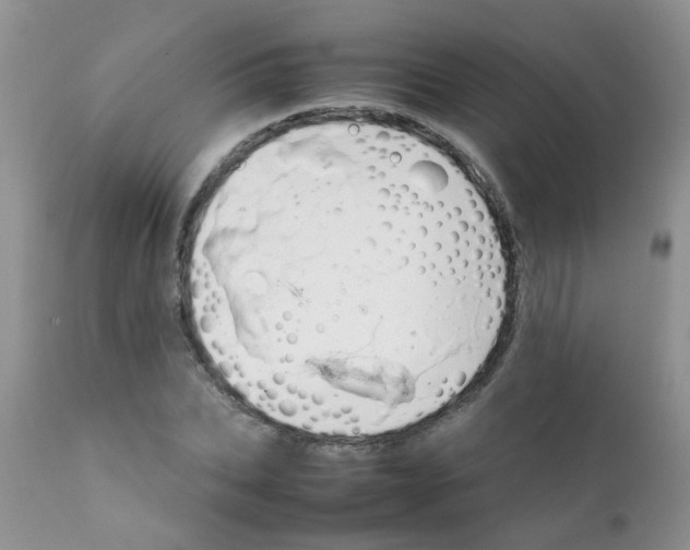 X0000111900927200908171235