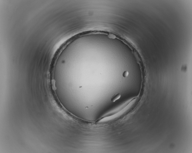 X0000111900928200908171235