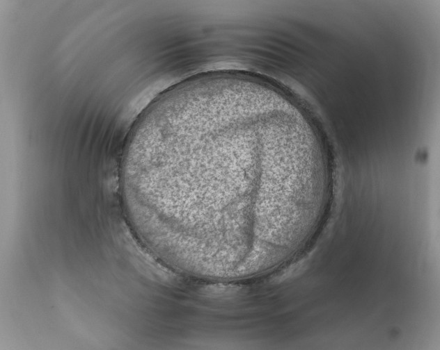 X0000111900929200908171235