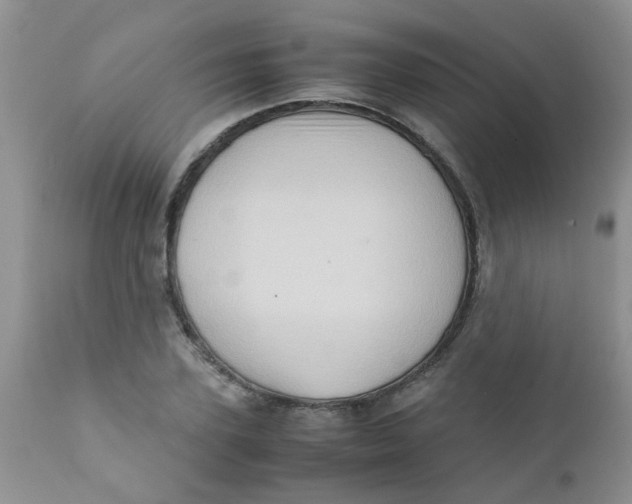 X0000111900931200908171235