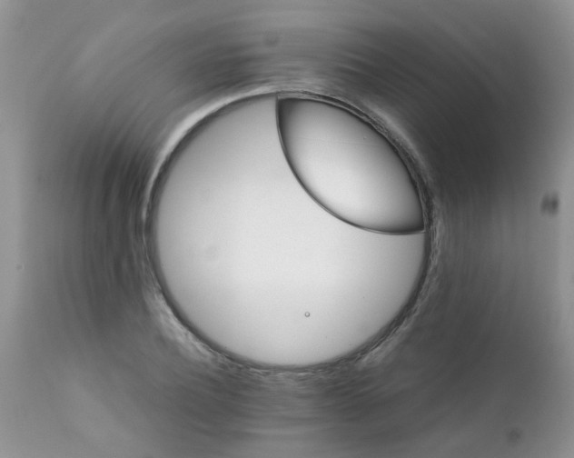 X0000111900932200908171235