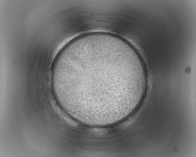 X0000111900933200908171235