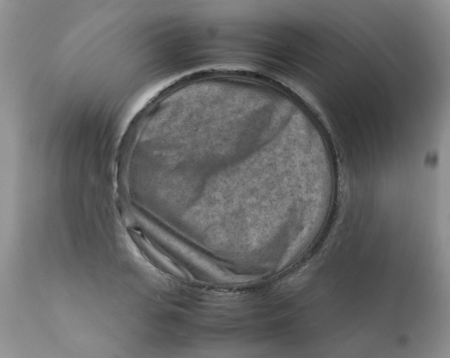 X0000111900935200908171235