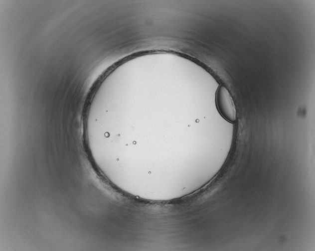 X0000111900936200908171235