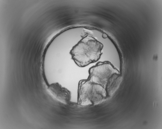 X0000111900941200908171235