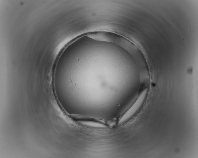 X0000111900944200908171235