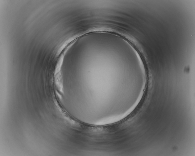 X0000111900945200908171235