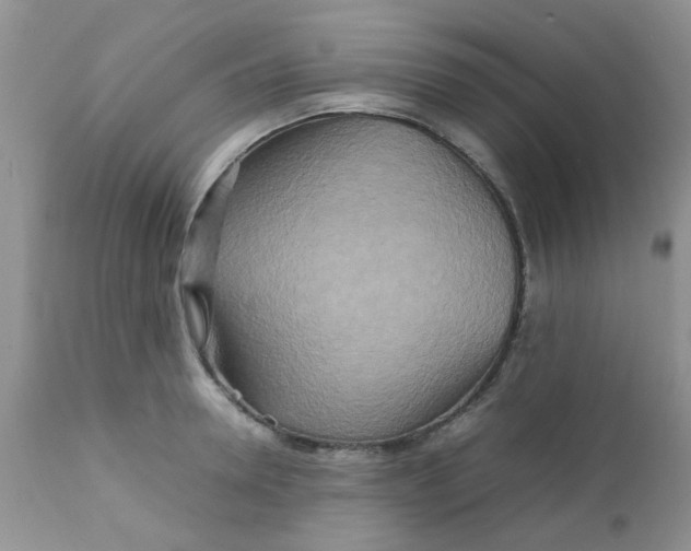 X0000111900946200908171235