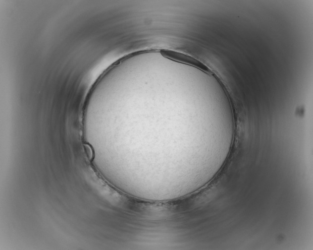 X0000111900948200908171235