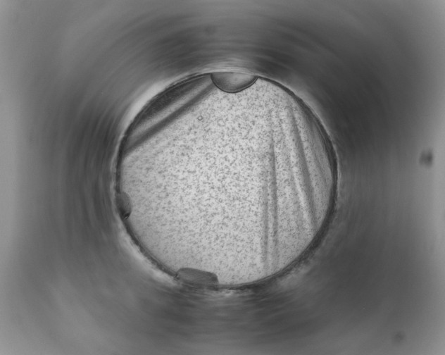 X0000111900949200908171235