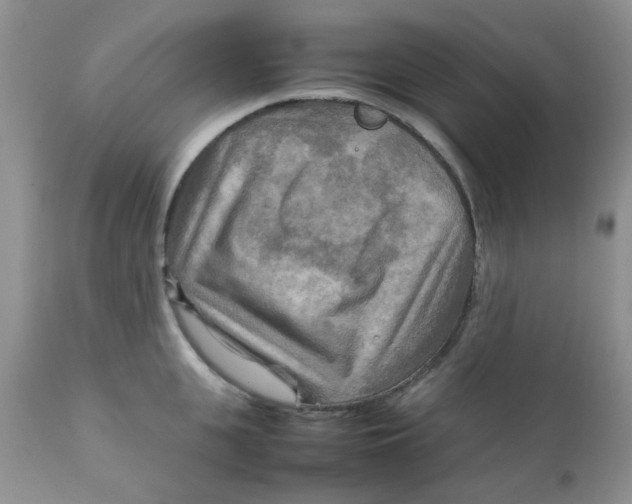 X0000111900951200908171236