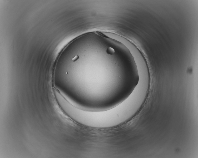 X0000111900952200908171236