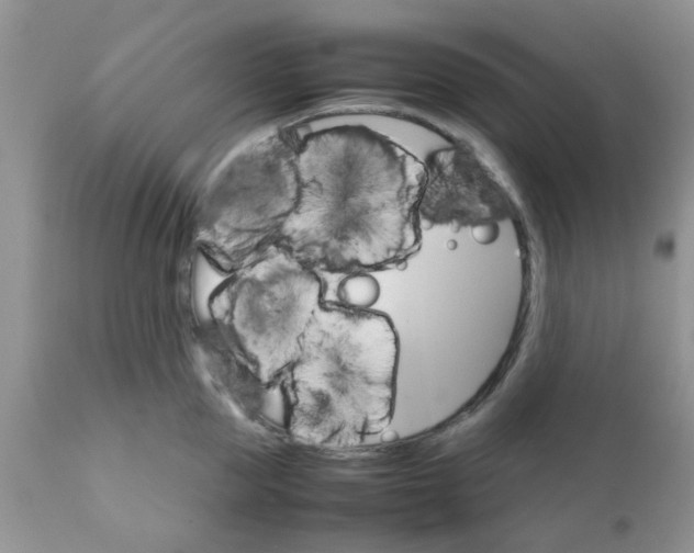 X0000111900953200908171236