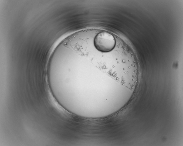 X0000111900955200908171236