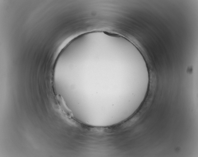 X0000111900956200908171236