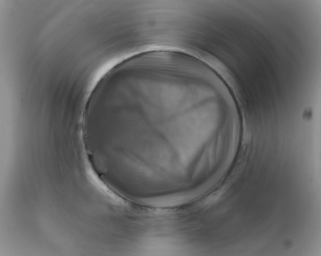 X0000111900958200908171236