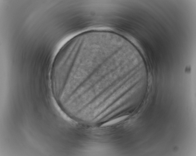 X0000111900959200908171236