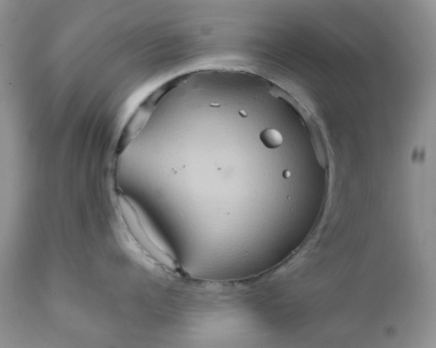 X0000111900960200908171236