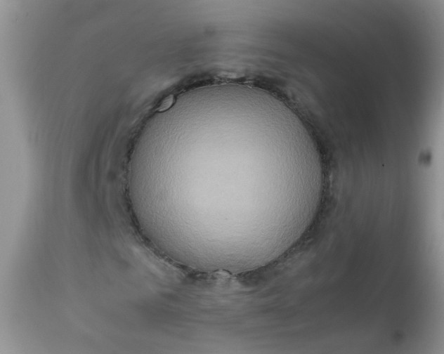 X0000111900961200908171235