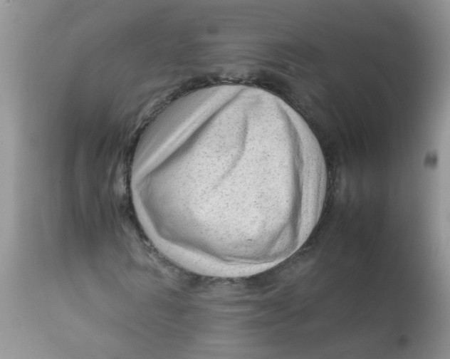 X0000111900962200908171235