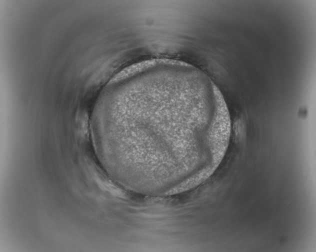 X0000111900963200908171235