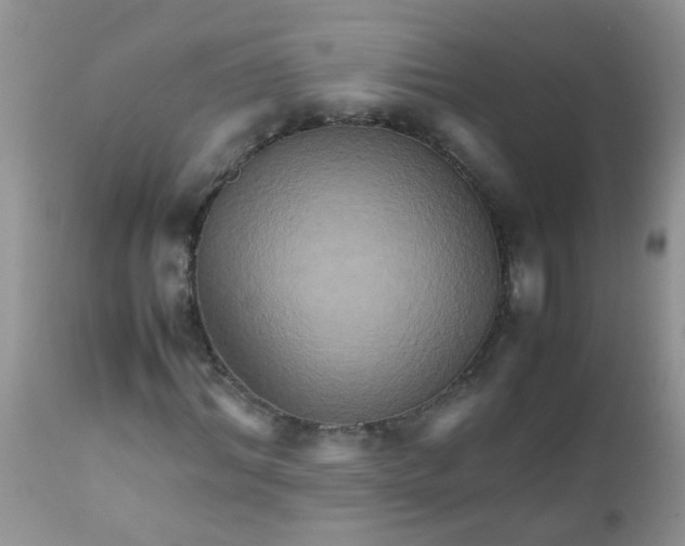 X0000111900964200908171235