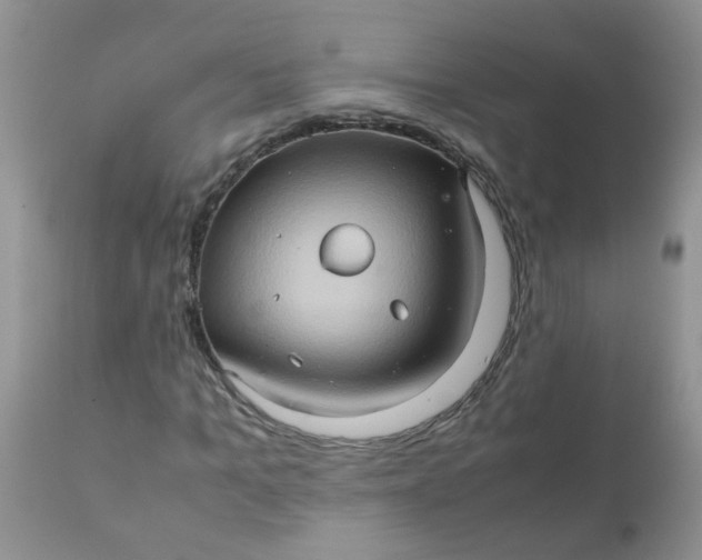 X0000111900965200908171235