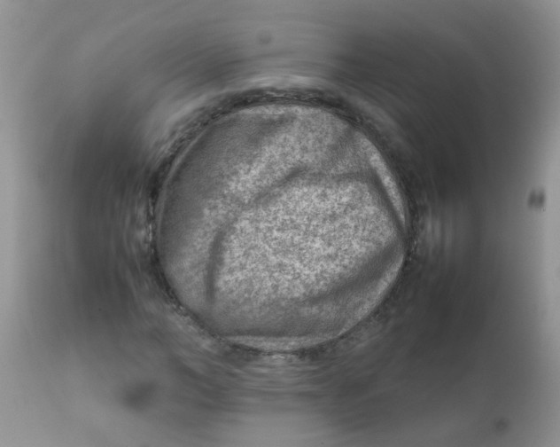 X0000111900966200908171235