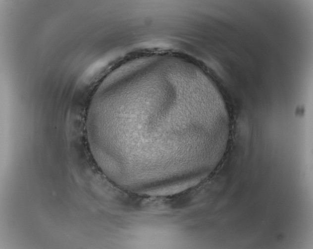 X0000111900967200908171235