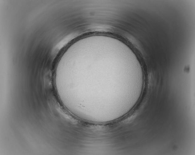 X0000111900970200908171235