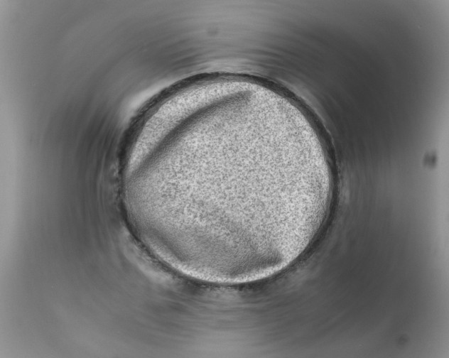 X0000111900971200908171235