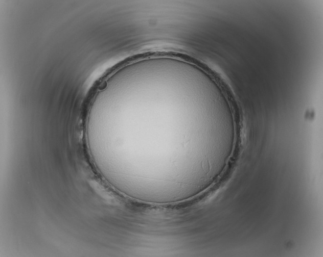 X0000111900973200908171235