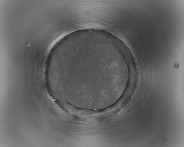 X0000111900975200908171235