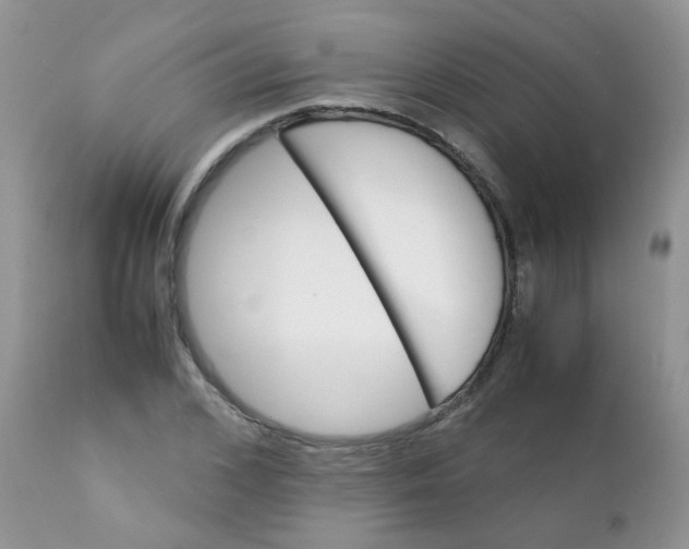 X0000111900976200908171235