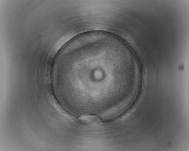 X0000111900977200908171235