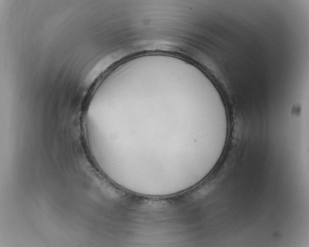 X0000111900978200908171235