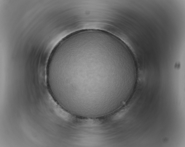 X0000111900980200908171235